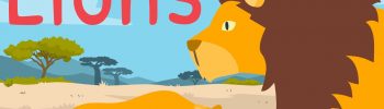 lion facts for kids